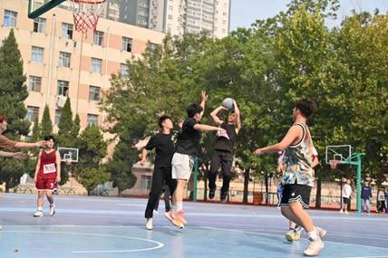 微信图片_20241010202247 6