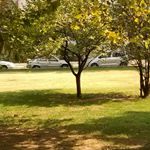 images/slider/flexslider/0043.jpg